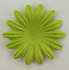 FK018LG-01 lime green.jpg