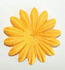 IMG_7353 daffodil yellow 4cm.jpg